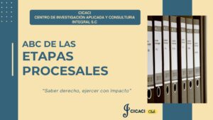 abc de las etapas procesales