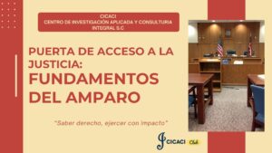 puerta de acceso a la justicia