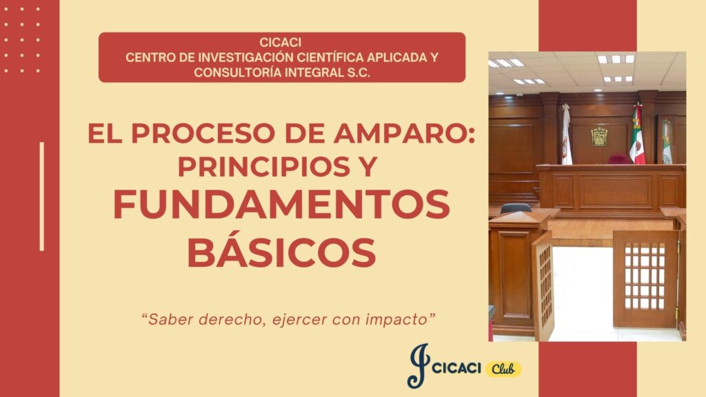 El proceso de amparo: principios y fundamentos básicos